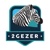 2GEZER - CRM x DATA