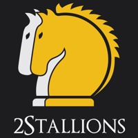 2Stallions Malaysia - Digital Marketing Agency