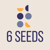 6 Seeds Consulting
