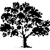 7Alder