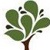 Abraham Paiss & Associates, Inc.