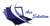 Acc Solution, SIA