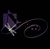 Accounting Outside the Box LLC