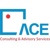 Ace Consulting and Advisory Services