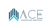 ACE Surveying Services