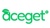 Aceget