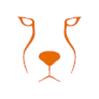 Acinonyx Web Agency