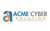 AcmeCyberSolution