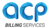 ACP Billing Services Inc