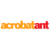 AcrobatAnt