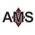 Advanced Management Services