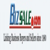 Affiliated Business Consultants, Inc
