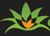Agave Information Soultions, LLC