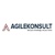 Agile Konsult