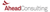 Ahead Consulting
