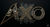 ALIENXO llc