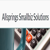 Allsprings Smallbiz Solution