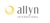 Allyn International Services