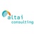 Altai Consulting
