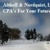 Althoff and Nordquist LLC