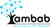 Ambab Infotech