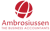 Ambrosiussen Accountants And Advisors