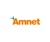 Amnet Systems Private Limited