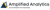 AMPLIFIED ANALYTICS