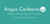 Angus Carbarns Digital Marketing & Analytics