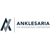 Anklesaria CPA Professional Corporation