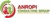 ANROPI CONSULTING GROUP
