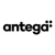 Antega LLC