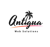 Antigua Web Solutions