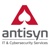 Antisyn IT & Cybersecurity