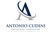 Antonio Cudini Professional Corporation