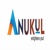 Anukul Infosystems India LLP