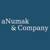 aNumak & Company