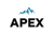 Apex Consulting Group, LLC