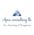 Apex Consulting LLC
