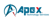 Apex Technology Services