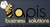 Apis Business Solutions, LLC