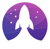 Apollo Digital