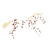Appaloosa Marketing