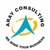 Aray Consulting