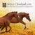 Arlyce Cleveland, LTD.