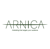 Arnica Marketing Agency