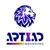 Artxad Branding