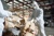 ASBESTOS REMOVAL YONKERS NY