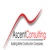 Ascent Consulting, Inc.