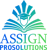 AssignPro Solutions